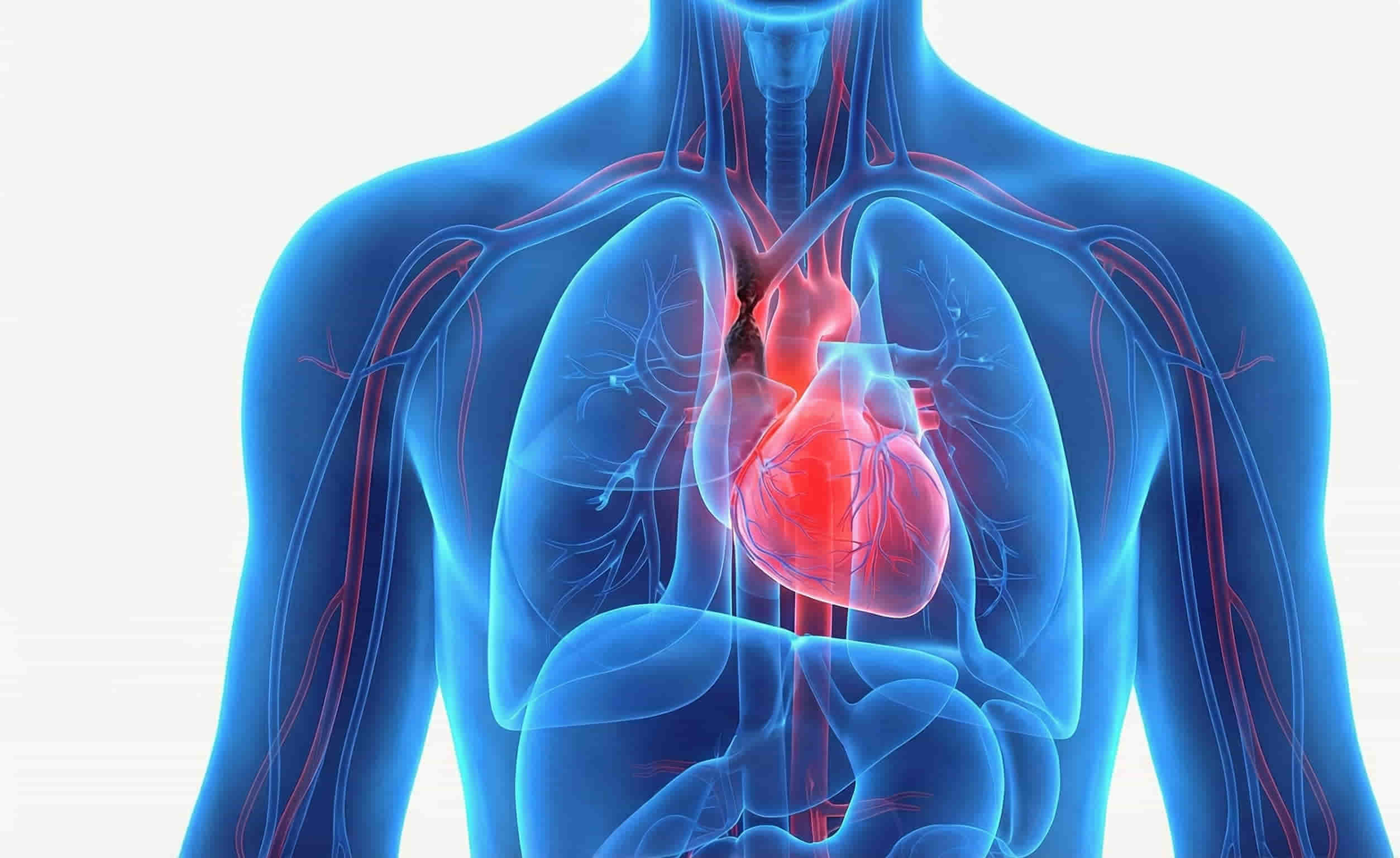 Central Vein Recanalization treatment for Central Venous Stenosis in Hyderabad by dr ram kishore gujarala